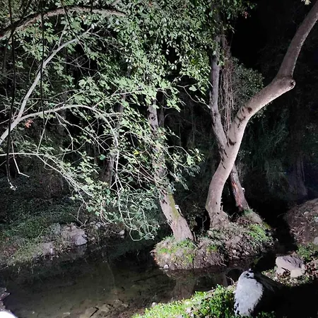 River Glamping Kalopanayiotis *