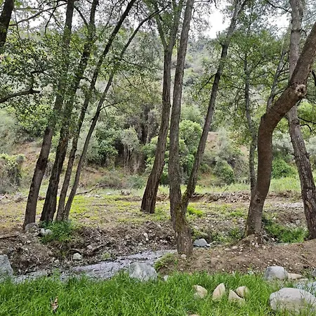 River Glamping Kalopanayiotis * Kalopanagiotis