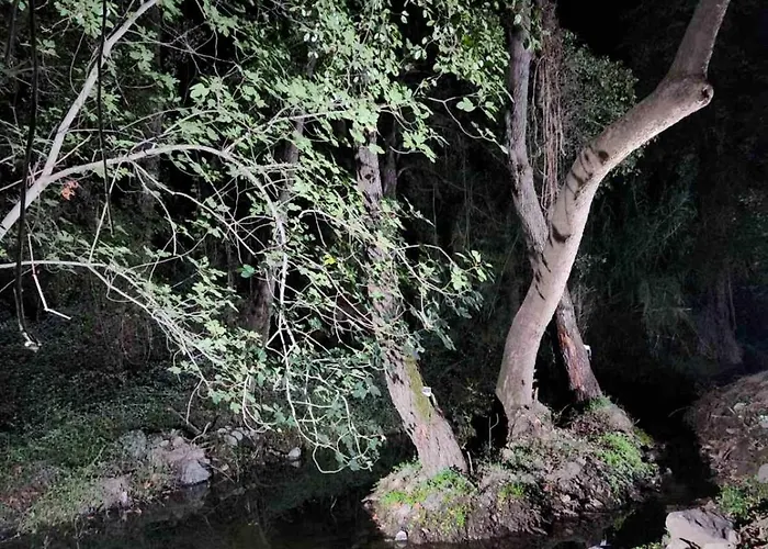 River Glamping Kalopanayiotis *